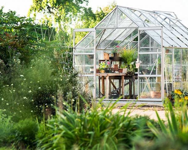 Glass greenhouse